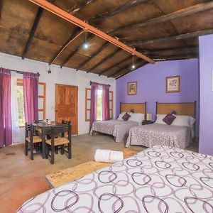 Habitación Familiar Estándar con 2 Camas Individuales